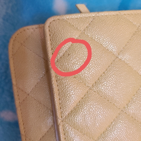 ❌SOLD❌Chanel 19s iridescent yellow WOC 💛 - Picture 6 of 10